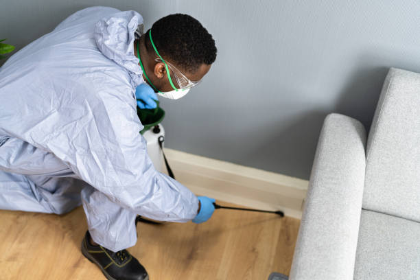 Best Commercial Pest Control  in Mentone, CA